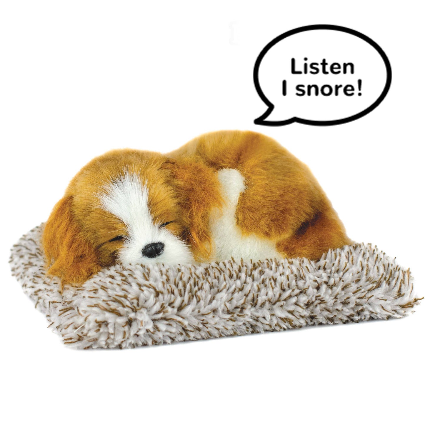 Mini Cavalier King Charles