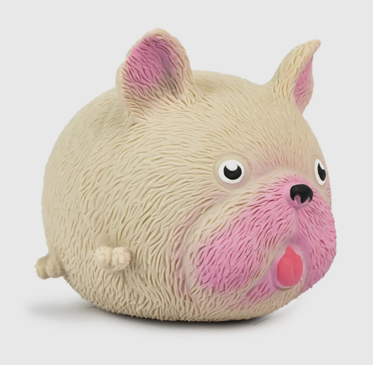 Squidy Pooch