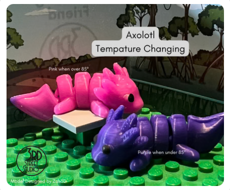 Axolotl