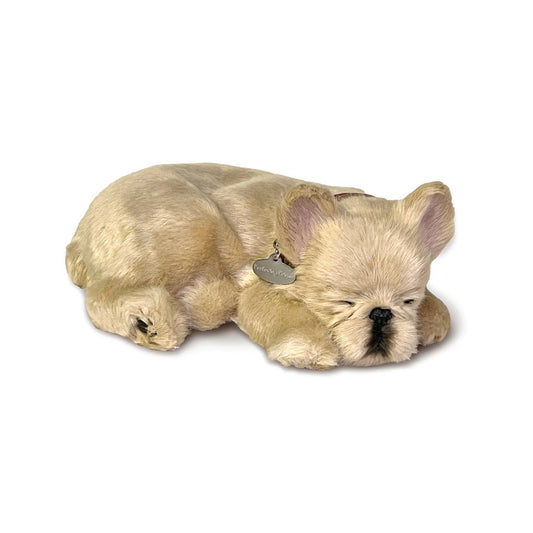 Original French Bulldog