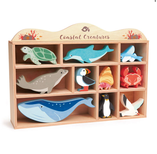 Coastal Creatures