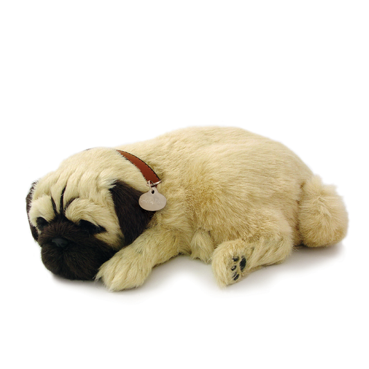 Original Pug