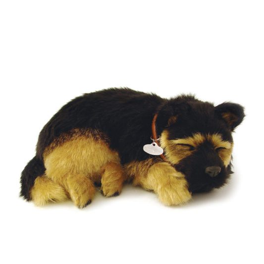 Original German Shepherd