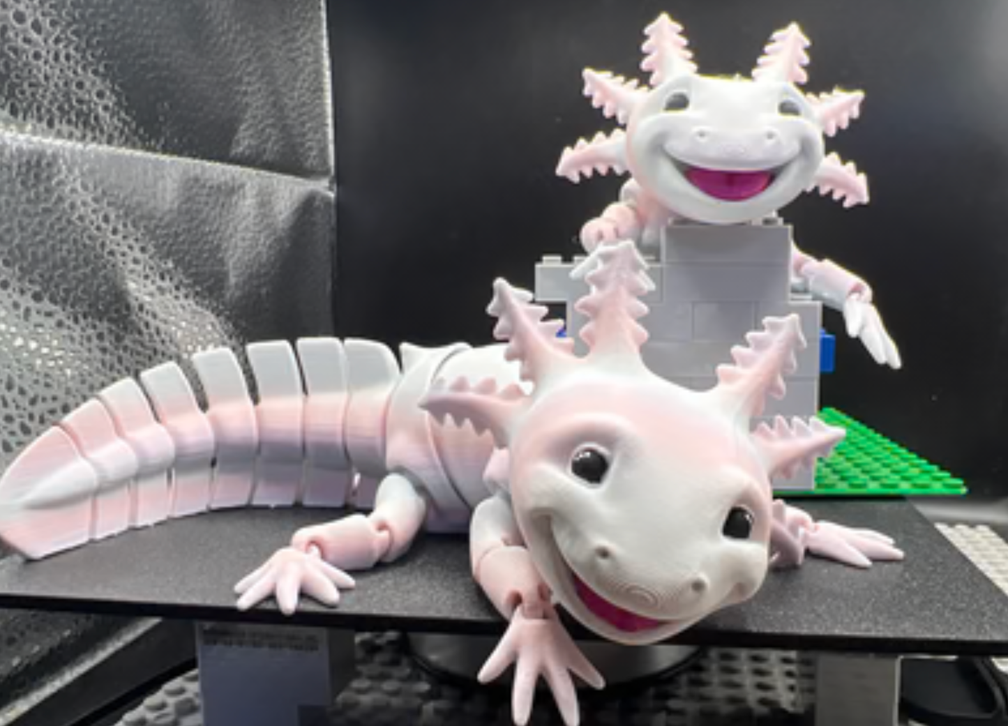 Axolotl