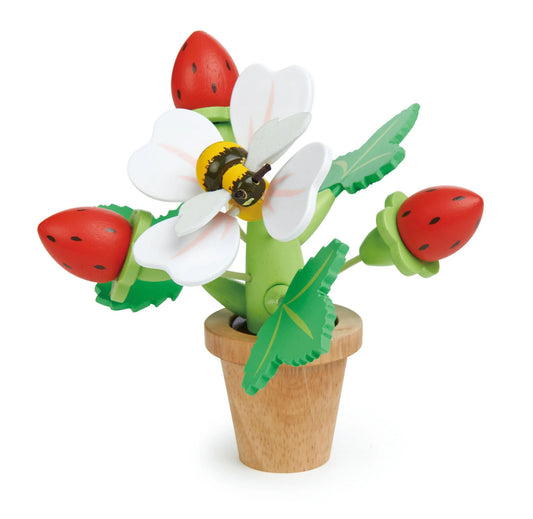 Strawberry Flower Pot