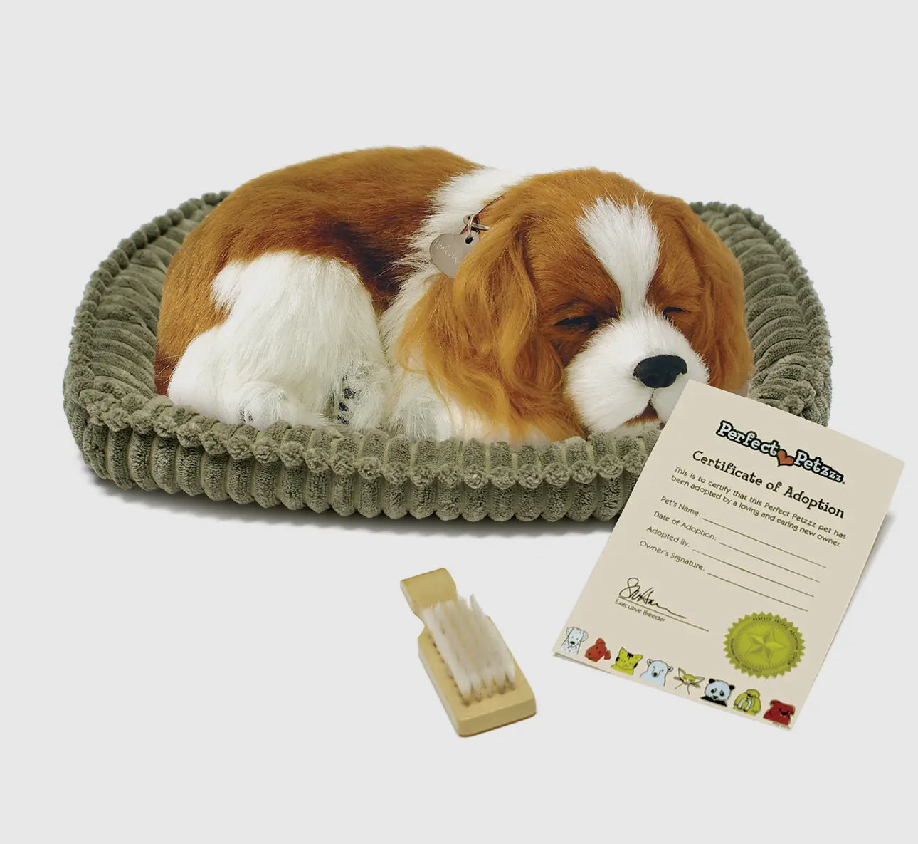Perfect Petzzz