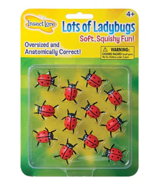 Lots of Ladybugs