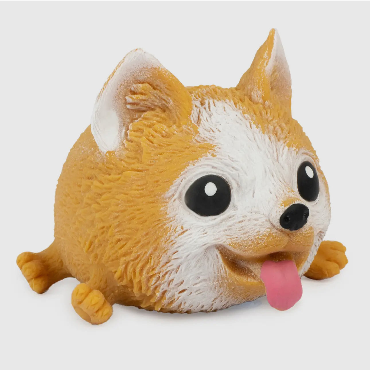 Squidy Pooch