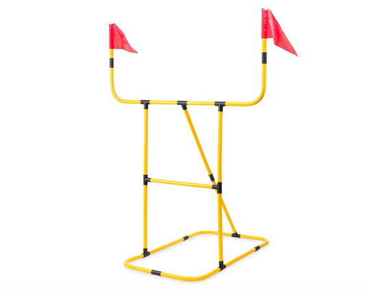 Kick N' Toss Football Goal & Disc Toss