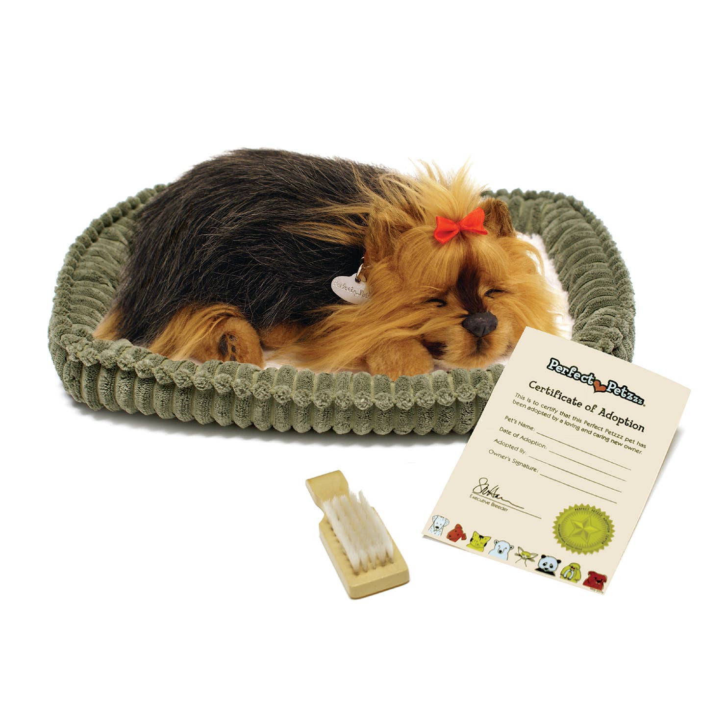 Original Yorkie