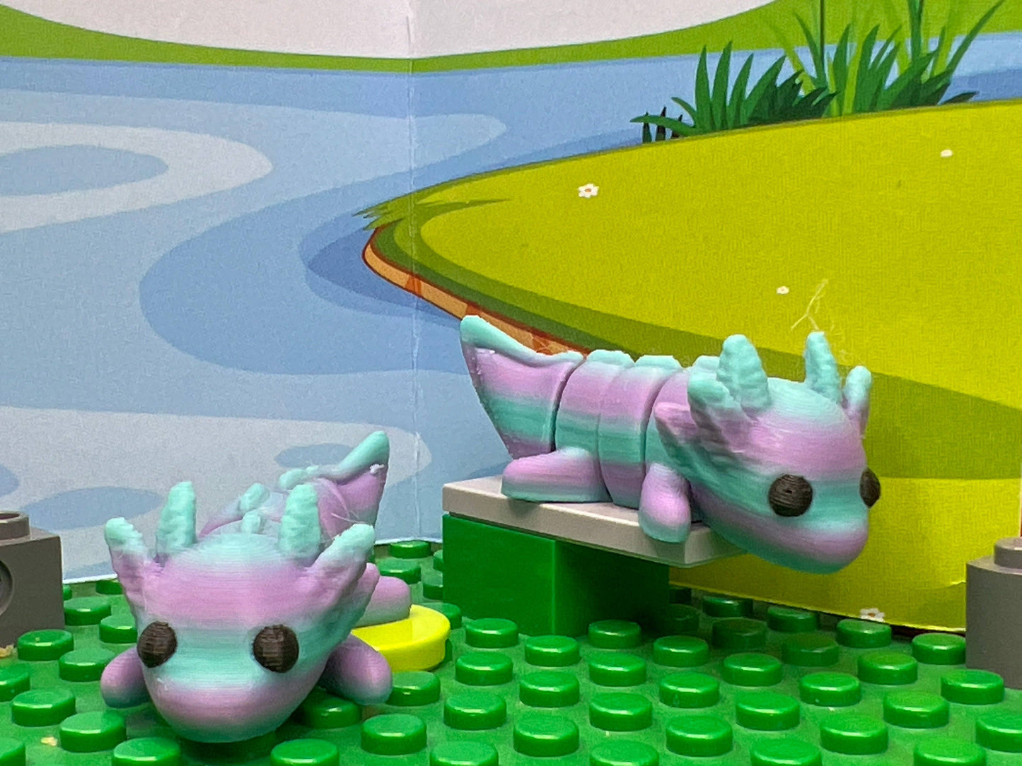 Axolotl