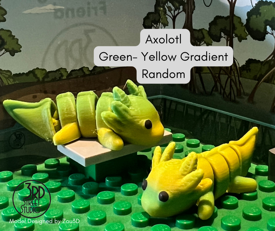 Axolotl