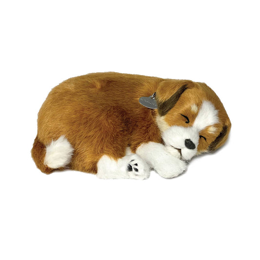 Mutt